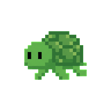 Scute turtle